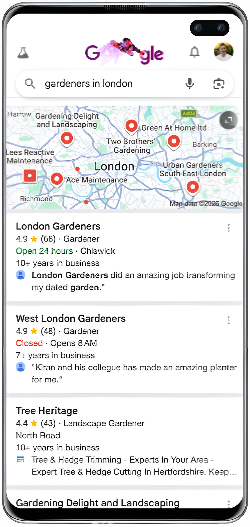 Local search optimisation browser mockup